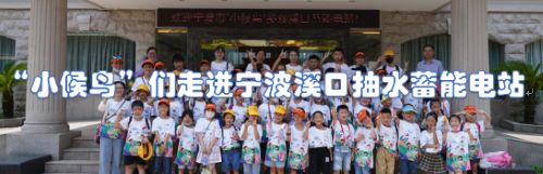 “像个超级大的充电宝！” 溪口抽水蓄能电站来了群“小候鸟”